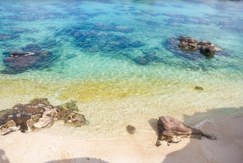 푸꾸옥 1월 날씨: 완벽한 여행을 위한 모든 정보