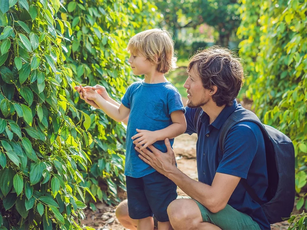 푸꾸옥에서 가볼 만한 곳: 2025년 꼭 방문 명소 Top 15
