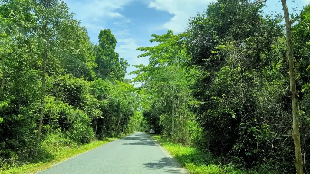 2026년 푸꾸옥 국립공원 완벽 가이드