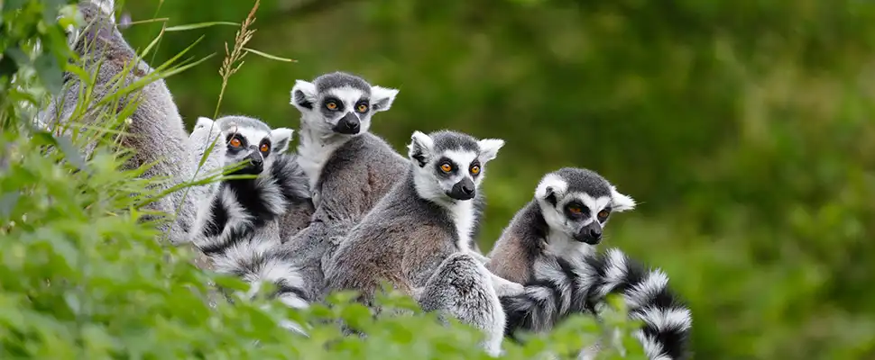 2026년 푸꾸옥 국립공원 완벽 가이드