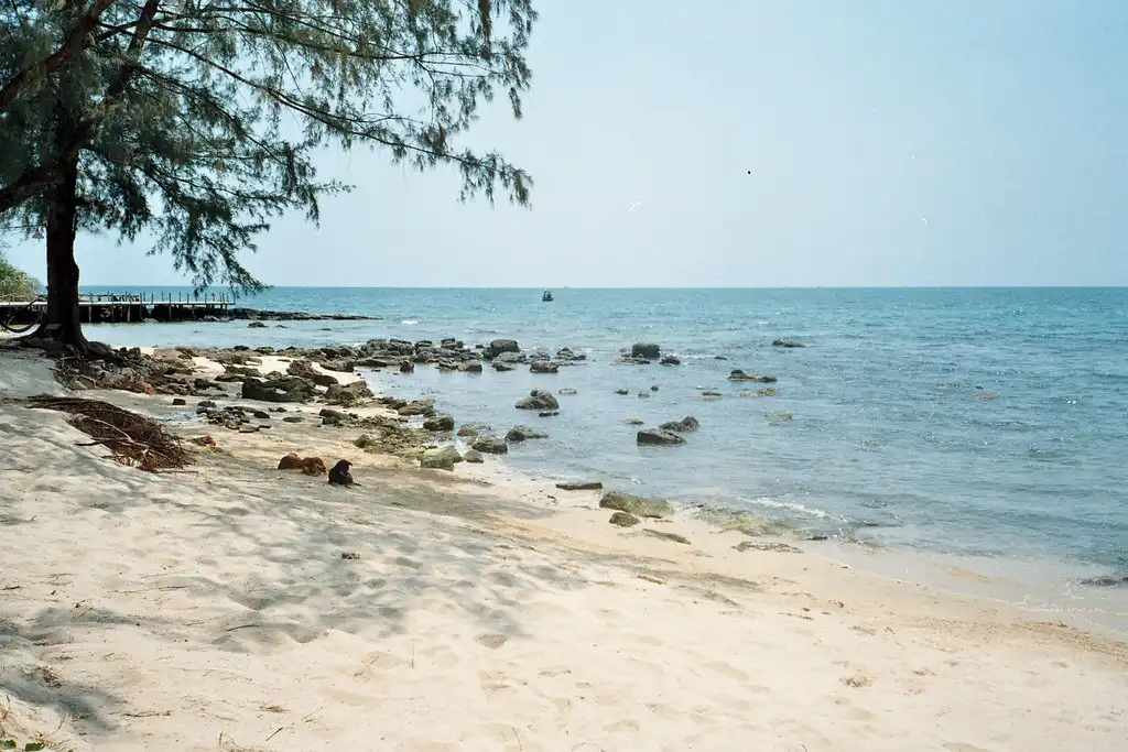 한국에서 푸꾸옥 가는 법 총정리! 비행시간부터 항공권 가격까지 15 한국에서 푸꾸옥까지 직항 항공편을 이용하는 여행객들