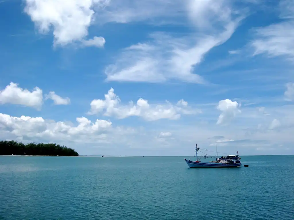 한국에서 푸꾸옥 가는 법 총정리! 비행시간부터 항공권 가격까지 5 한국에서 푸꾸옥까지 직항 항공편을 이용하는 여행객들