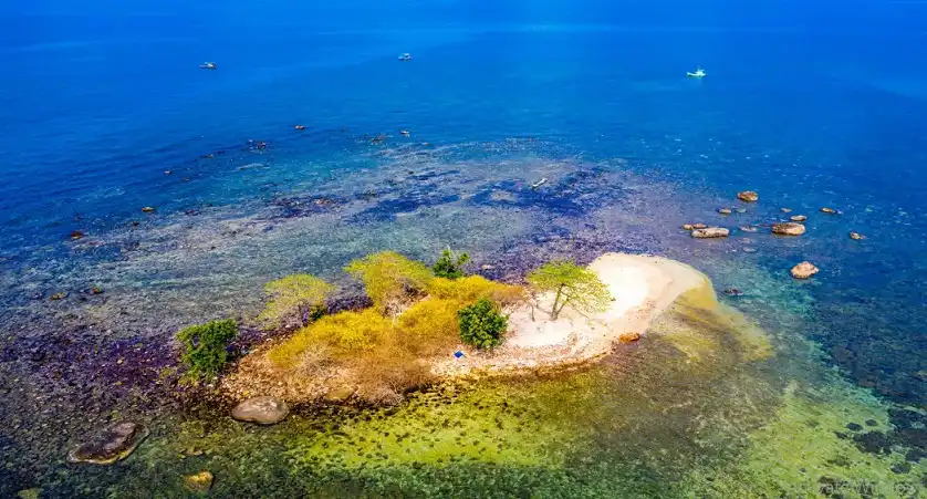 Фукуок Дайвинг: 7 Лучших Мест для Погружения Новичкам и Профессионалам 4 image12 2