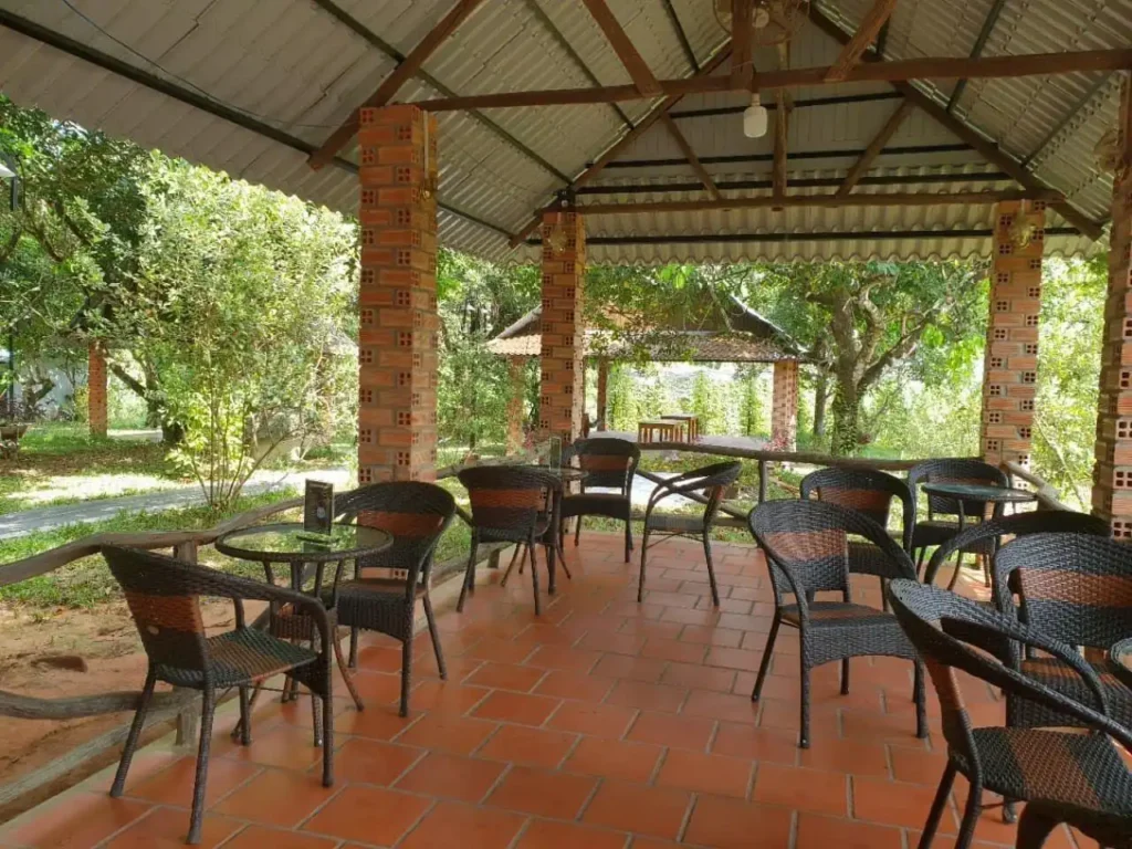 富國島胡椒:為什麼它是世界上最好的胡椒? 7 image14 5