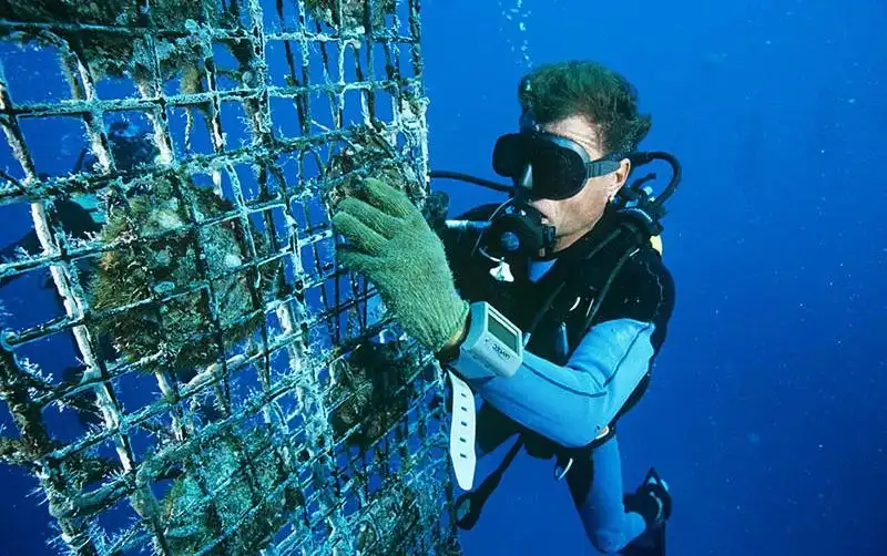 富國島珍珠:揭開越南珍珠的秘密與選購指南 9 遊客參觀富國島珍珠博物館,了解珍珠培育過程。