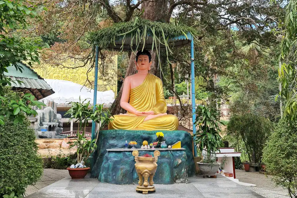 Chùa Sư Muôn Phú Quốc: Khám Phá Ngôi Chùa Cổ Kính và Linh Thiêng Nhất Đảo Ngọc 9 Khung cảnh thanh tịnh của chùa Sư Muôn Phú Quốc với kiến trúc Phật giáo hài hòa giữa thiên nhiên và không gian xanh yên bình.