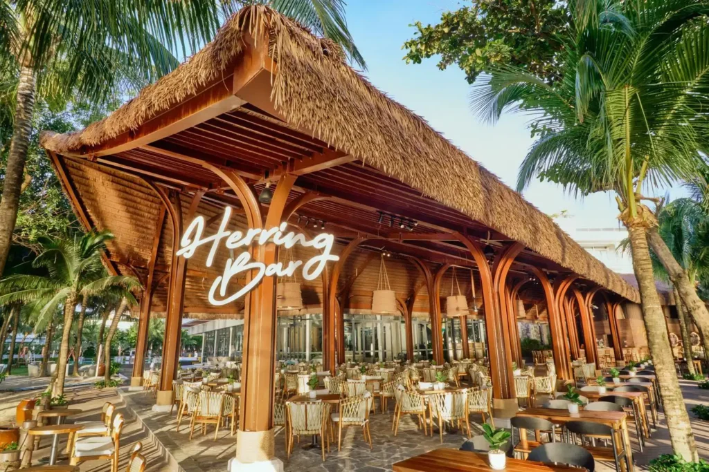 Vé Máy Bay Sun PhuQuoc Airways: Toàn Bộ Thông Tin Về Hãng Bay Mới Của Sun Group 18 ve may bay sun phuquoc airways 19