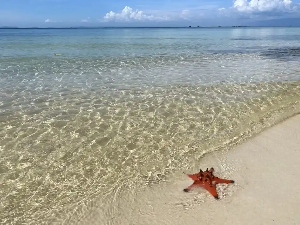 푸꾸옥 크리스마스: 베트남에서 보내는 특별한 연말 휴가