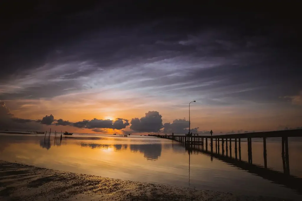 푸꾸옥 렌트카: 2026년 완벽한 가격, 예약 및 팁 가이드