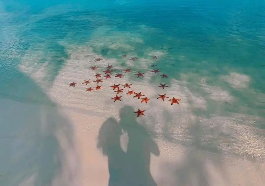 富国岛必玩景点与活动:你的终极旅游攻略