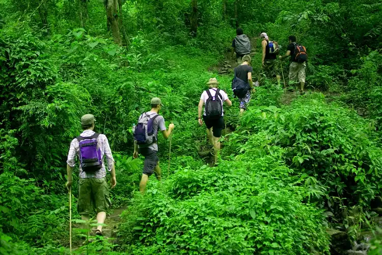 富國國家公園完整指南:探索越南原始天堂
