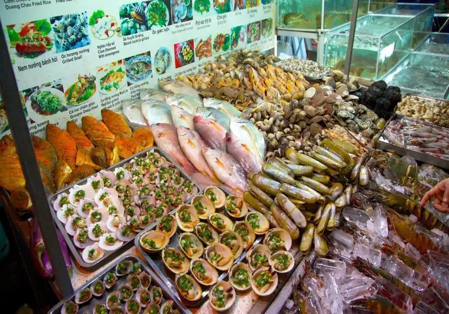 富国岛十五大户外活动：探险爱好者必玩指南