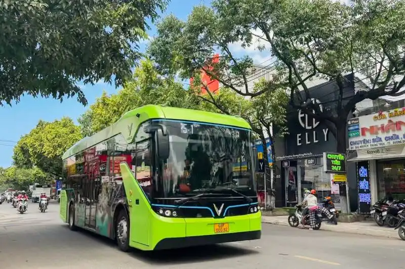 2026富国岛珍珠养殖场参观攻略:选购与鉴别指南 4 2026富国岛珍珠养殖场参观攻略:选购与鉴别指南